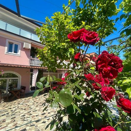 Apartments Tereza Novigrad Istria Kültér fotó