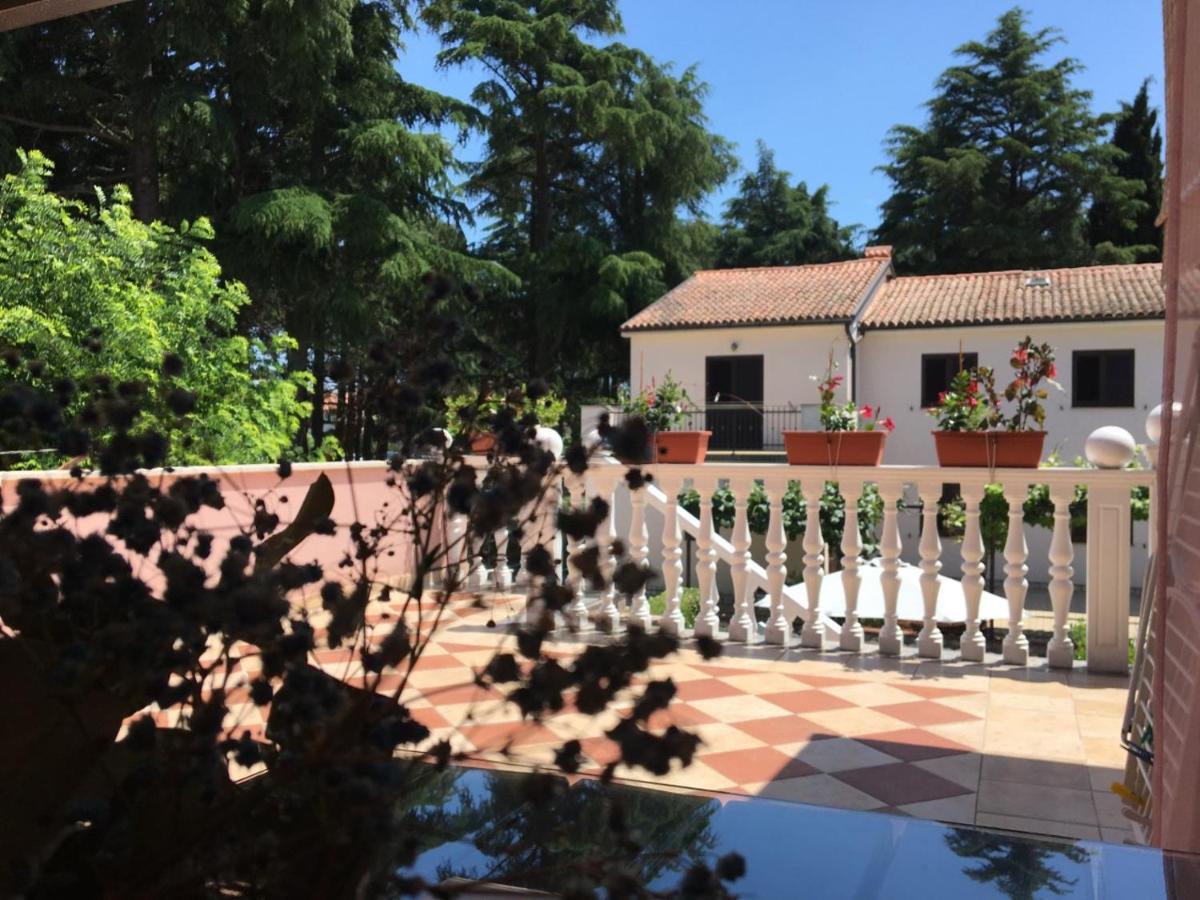 Apartments Tereza Novigrad Istria Kültér fotó