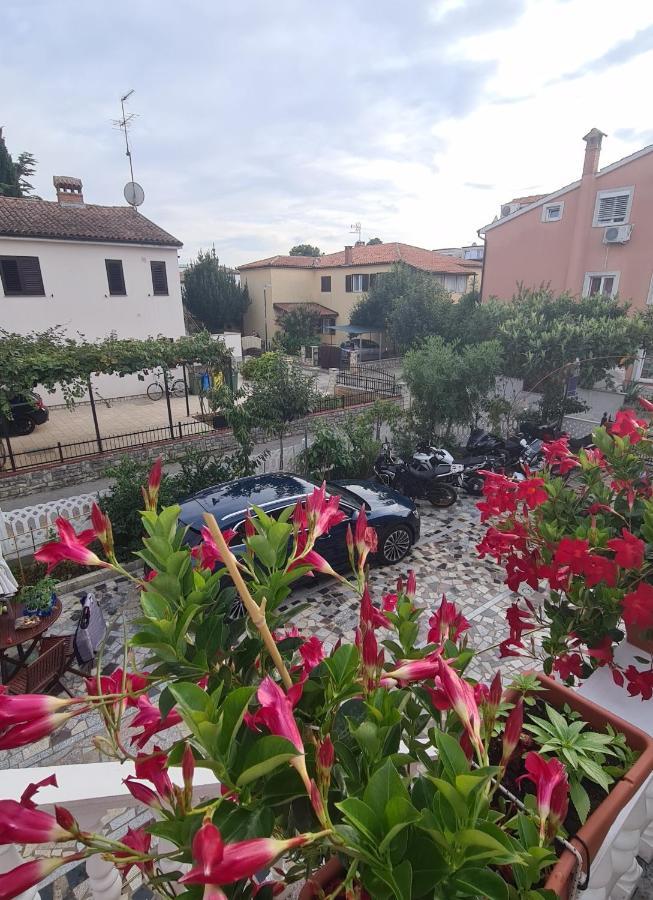 Apartments Tereza Novigrad Istria Kültér fotó
