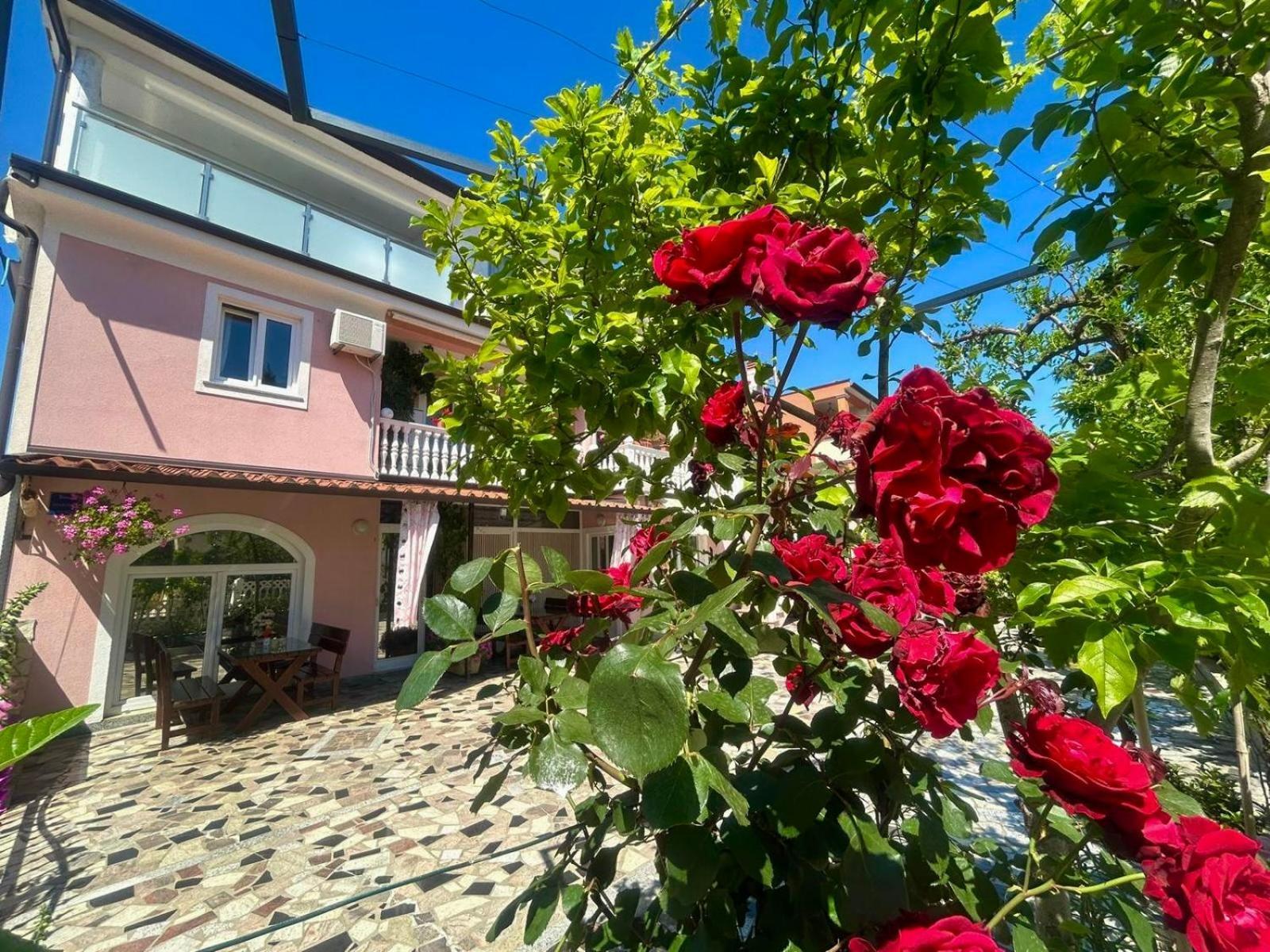 Apartments Tereza Novigrad Istria Kültér fotó